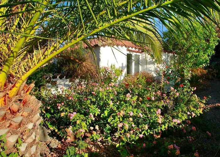 Finca Cosmos