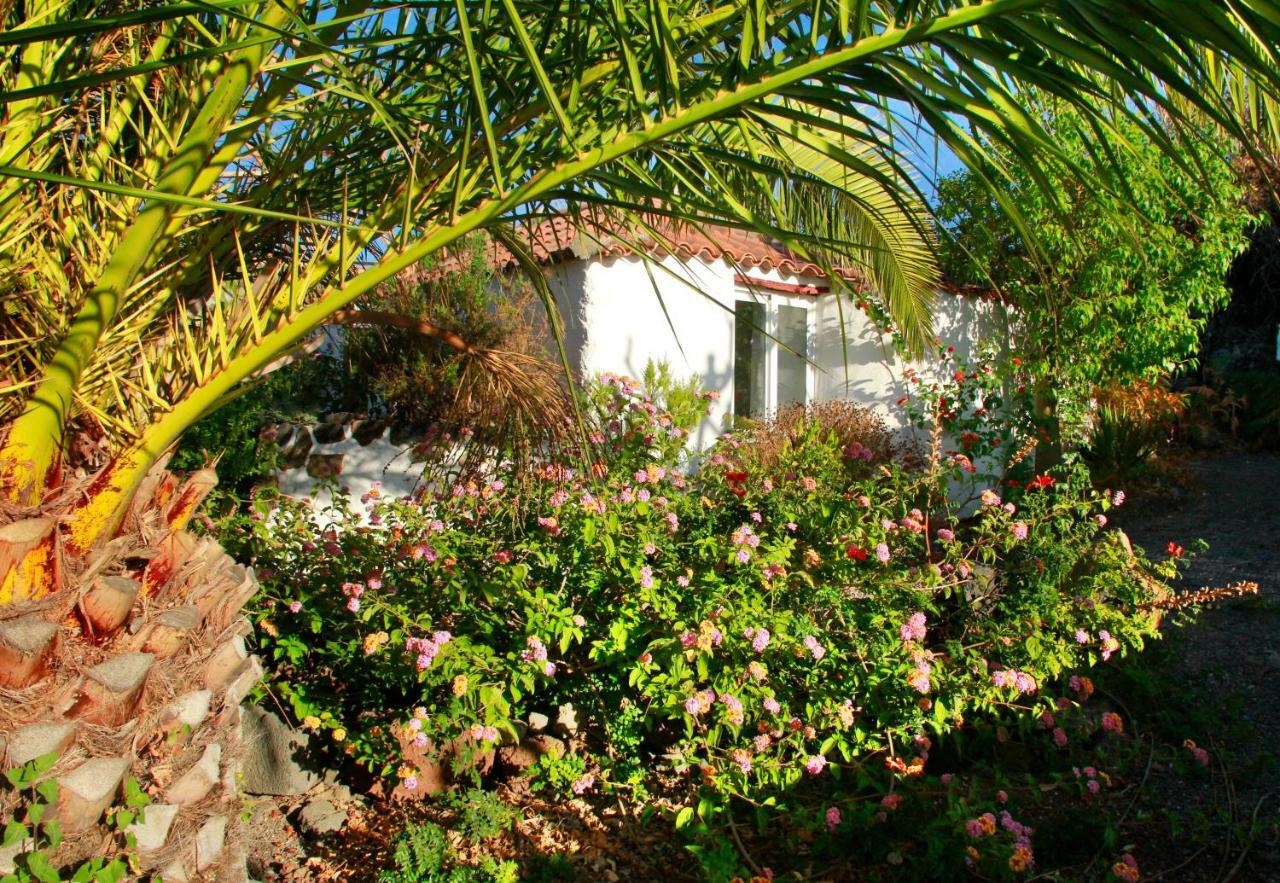 Finca Cosmos *